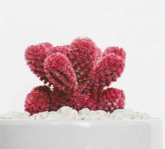 在线DDOS平台攻击